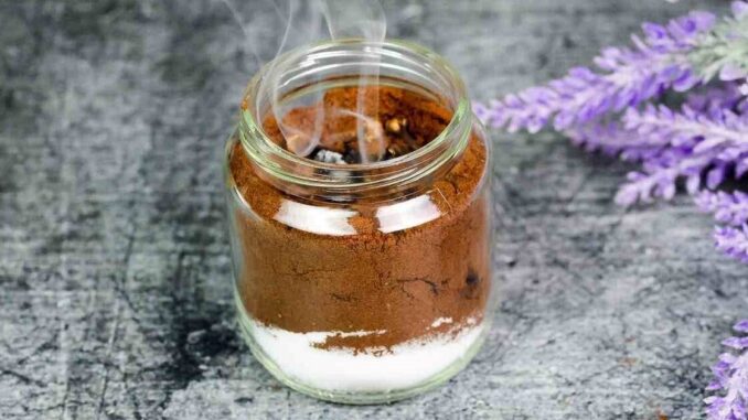 Repelente de insetos naturais: Com café e cravo-da-índia